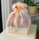 하나팜스 이미지