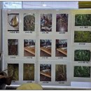 속리산황가네자연산버섯요리 이미지