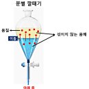 세틀러(SETTLER) 이미지