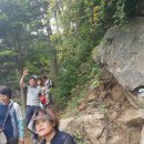 후포농장 이미지