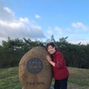 보성농장 Daum카페