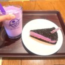커피빈 우베 신메뉴 솔직 후기! 우베 크림 코코 플로트 & 까망베르 치즈 타르트 내돈내산