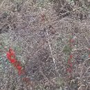 숲고을농장 이미지