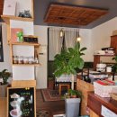 일상가배 이미지