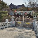 나무테크 이미지