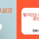 딸기공인중개사사무소 이미지