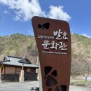 마을게시판 | 자연 속 힐링 한 스푼 경북 영양 일월산마실권역 문바우 체험휴향마을에 마실 다녀왔어요!