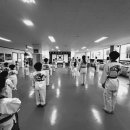 고려인태권도장 이미지