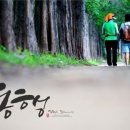 북부복지타운 이미지