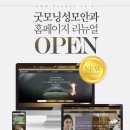 성모안과 - 안산시 단원구 | 성모안과