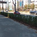 불당대로 이미지