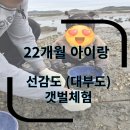 소라형 샤워장 | 선감도 갯벌체험 /22개월아기/바지락잡기/주말체험/대부도갯벌체험/내돈후기