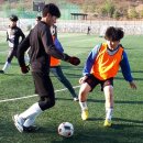 축구센터 풋살경기장 이미지