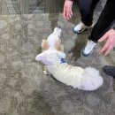 돌고래당구장 이미지