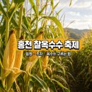 홍천종합운동장 | 홍천 찰옥수수 축제 2026 일정과 주차, 옥수수 고르는 법까지