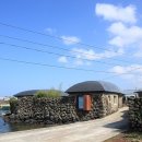 눈먼고래 이미지