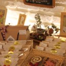 천사들의합창유치원 이미지