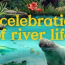 리버퀘스트 이미지