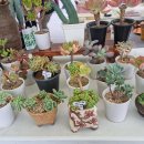 화정역광장 이미지