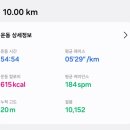 태양약국 네이버블로그