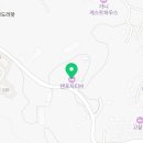 탠 포지티브 이미지