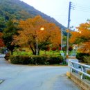 풍경마을 버스정류장주변 이미지