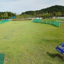 나르메아파트 길건너 | 전국 파크골프장 투어(67)- 경기도 파주시 동패동 심학산 파크골프장에서 라운딩