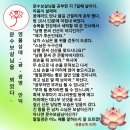 염불삼매 글 (부처님 수행일기 26)/ 문수보살님을 뵈었다/ 물고기를 키울 것이다/몸에서 금빛으로 빛나는 남자 스님 이미지