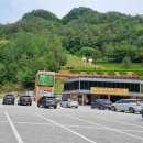 정선 화암동굴: 금광의 역사와 자연의 신비가 만나는 곳 이미지