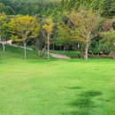 이순신공원(중간) 티스토리