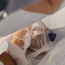 거북이과자점 | 천안 여행 뚜쥬루 과자점 맛있는 빵집 거북이빵 성정점 방문 후기