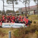 한미약품(주) 이미지