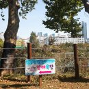 승현목장 이미지