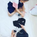 예일킨더유치원 이미지