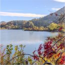 금산한국농장 이미지