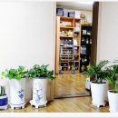 솔올정원 이미지