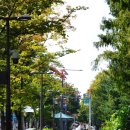 화랑대사거리 이미지