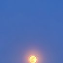 하늘플라워 이미지