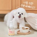 뽀숑 이미지