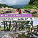 언양재활용마트 | 울산 언양 근교 오토캠핑장 힐링캠프 사이트 별 장단점과 상세후기