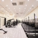 센트럴 독 이미지