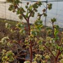 미루농장 이미지