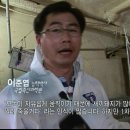 스페샬돼지