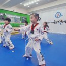 자란다 태권도장 이미지