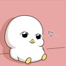 오늘의 기억