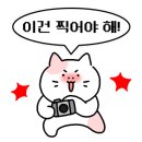 엘플레이트풀빌라 이미지