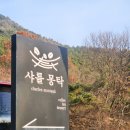 샤를몽탁 | 대전 드라이브 카페 추천 고양이가 있는 카페 샤를몽탁 내돈내산 솔직후기