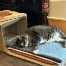 우면정 | 6/ 늦었다고 생각할때가 많이 늦었음!