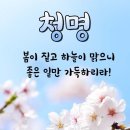 꺾이지 않는 마음 이미지