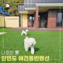 다정펜션 | 안면도 애견동반펜션 태안 독채 촌캉스 숙소 다정한 가